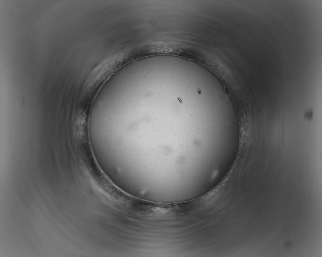 X0000116640166200912291603