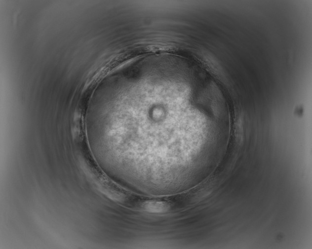 X0000116640169200912291603