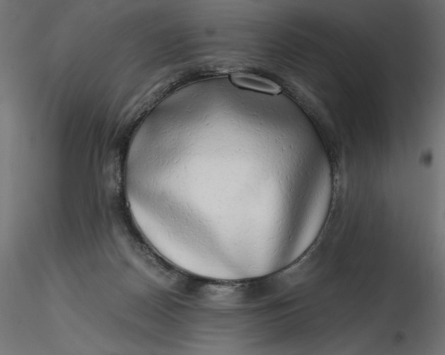 X0000116640170200912291603