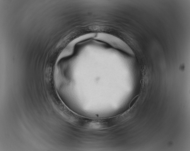 X0000116640171200912291603