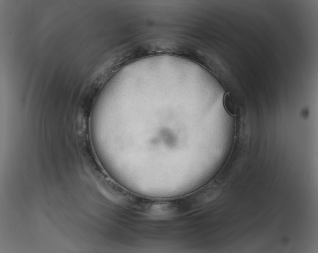 X0000116640173200912291603