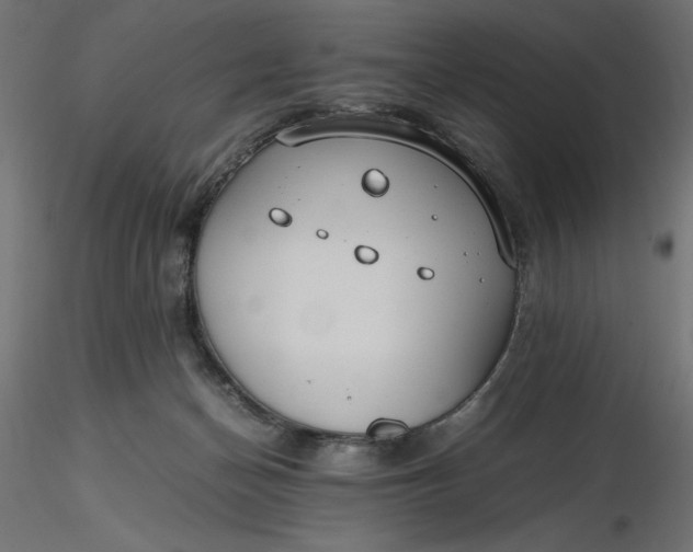 X0000116640174200912291603