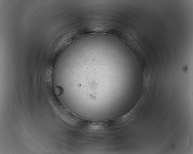 X0000116640175200912291603