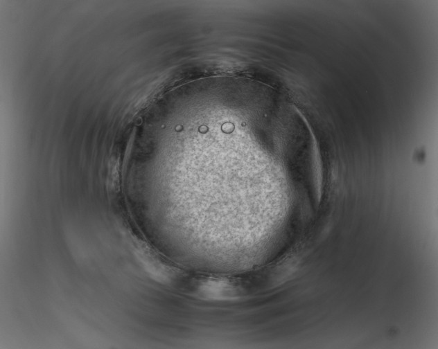 X0000116640177200912291603