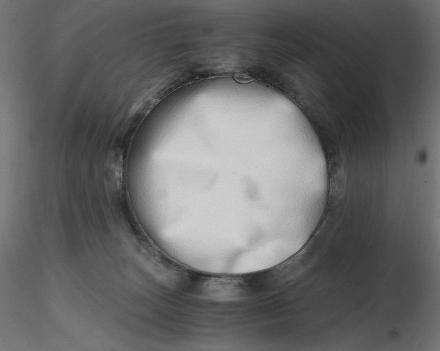 X0000116640179200912291603