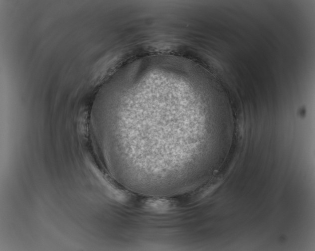 X0000116640181200912291603