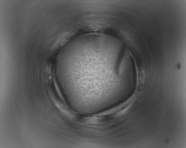 X0000116640182200912291603