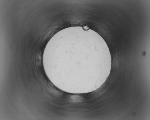 X0000116640183200912291603