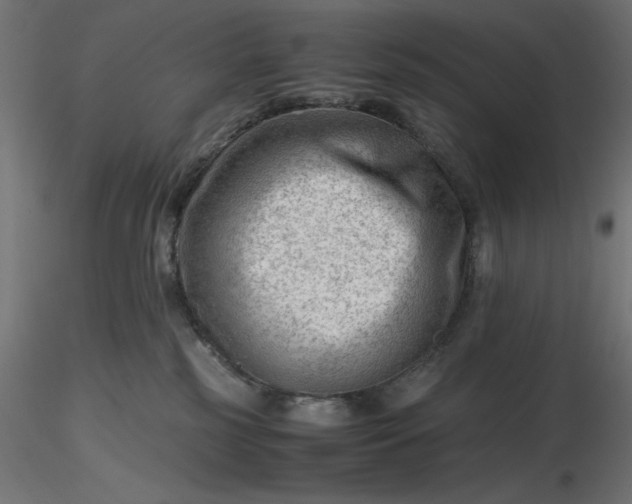 X0000116640185200912291603