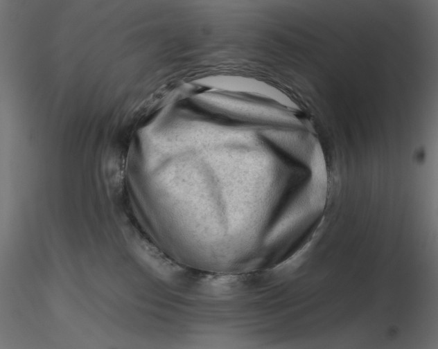 X0000116640186200912291603