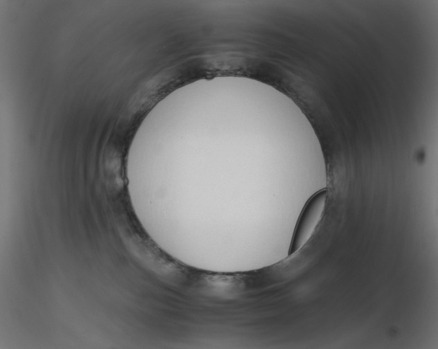 X0000116640187200912291603