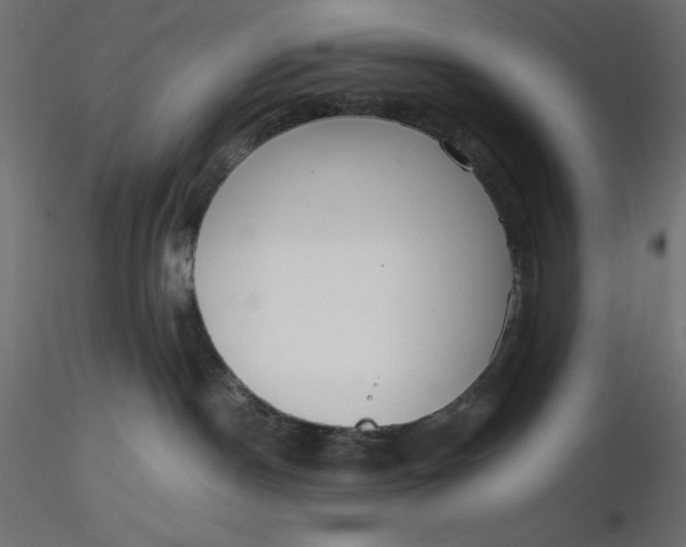 X0000116640190200912291603