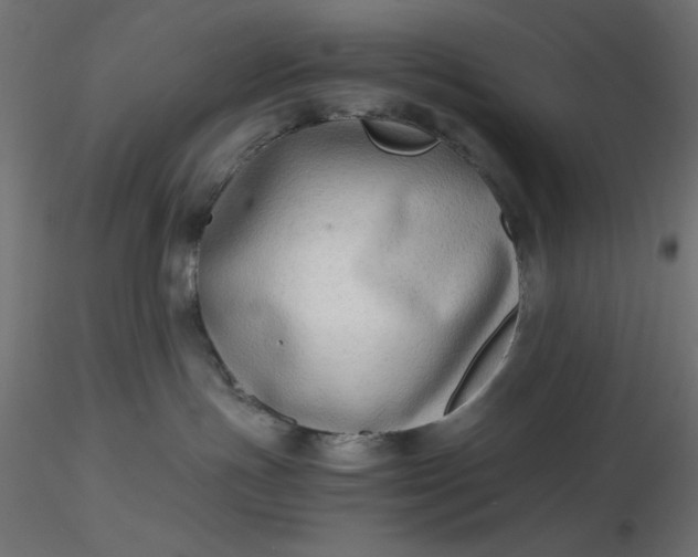 X0000116640191200912291603