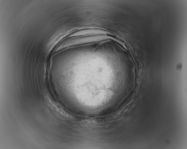 X0000116640194200912291602