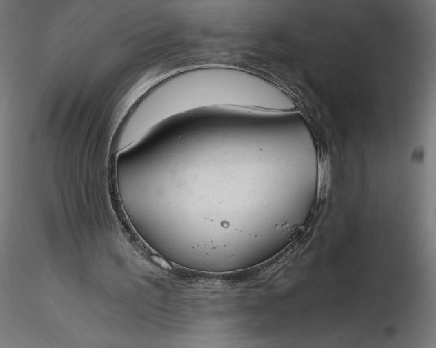 X0000116640195200912291602