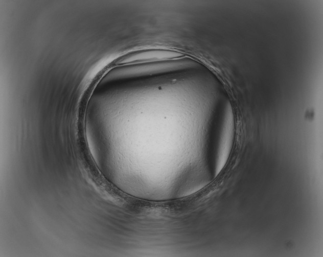 X0000116640200200912291602