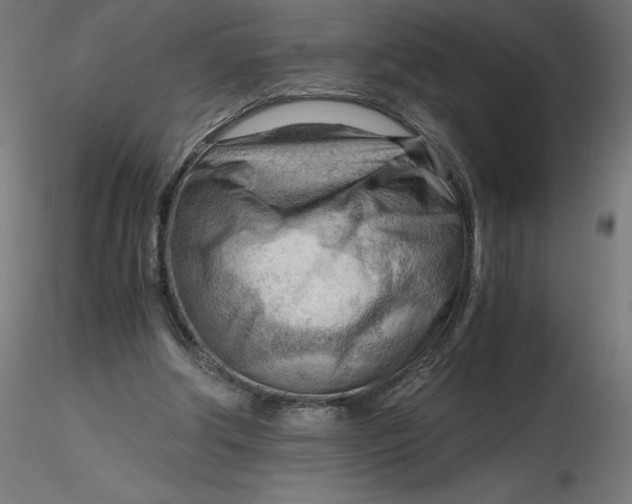 X0000116640202200912291602