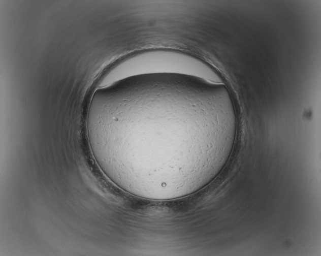 X0000116640203200912291602