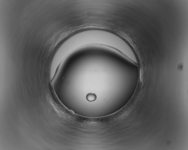 X0000116640205200912291602