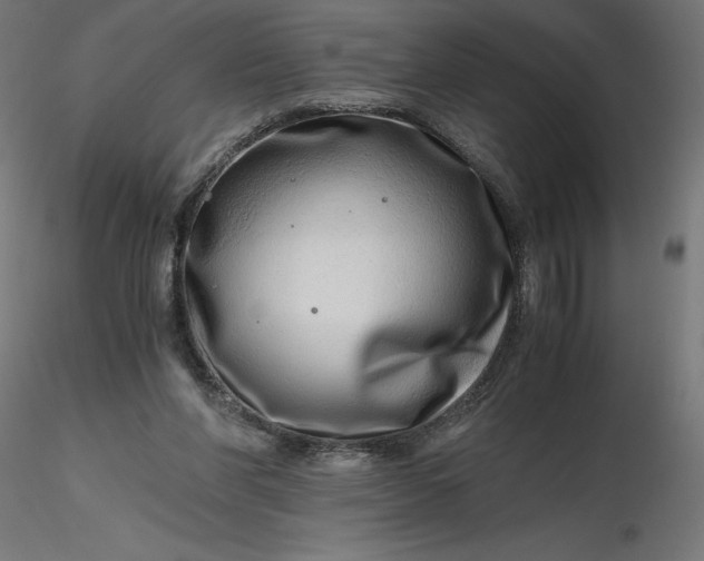 X0000116640206200912291602