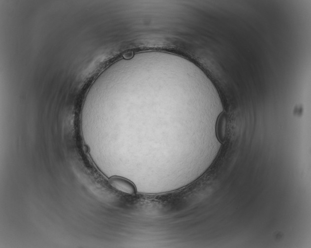 X0000116640207200912291602