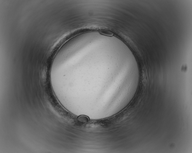 X0000116640208200912291602