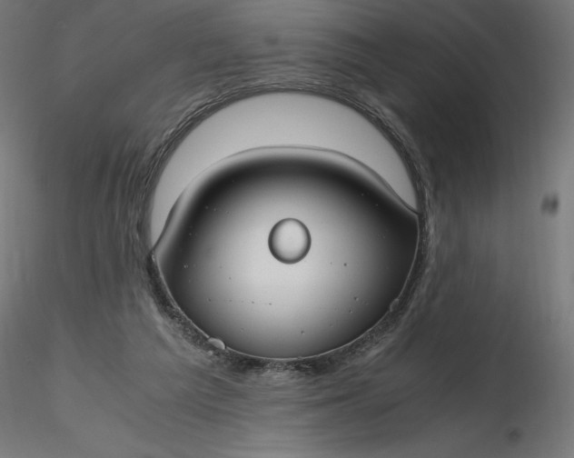 X0000116640209200912291602