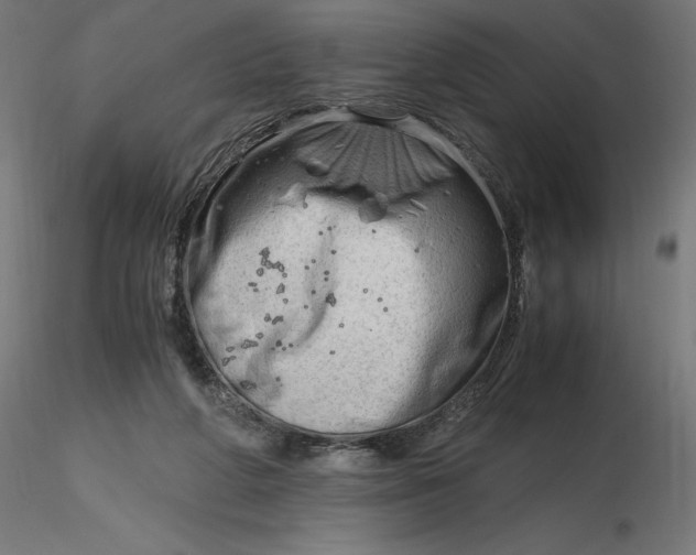 X0000116640210200912291602