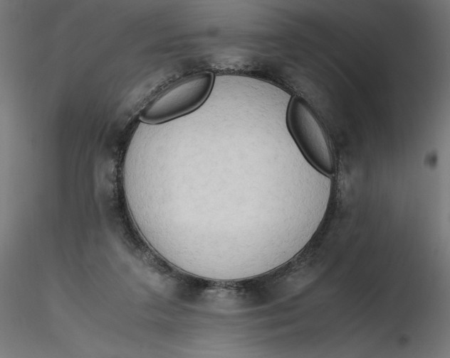 X0000116640211200912291602