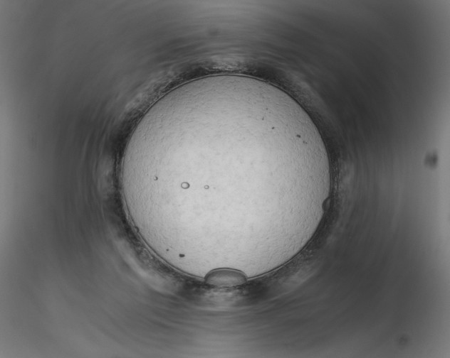 X0000116640213200912291602