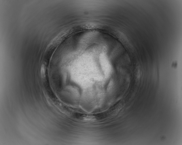 X0000116640214200912291602