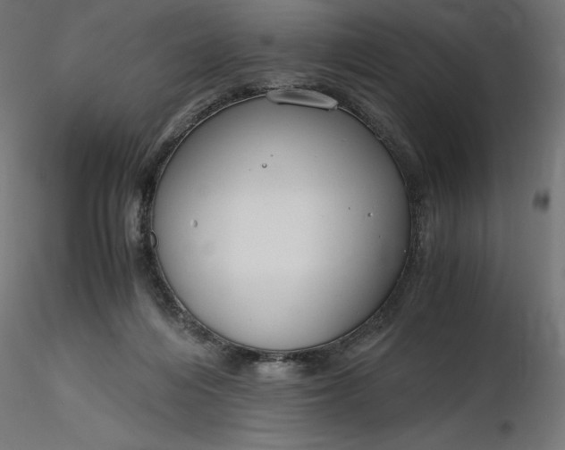 X0000116640216200912291602