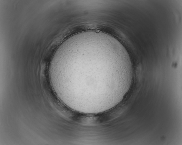 X0000116640217200912291602