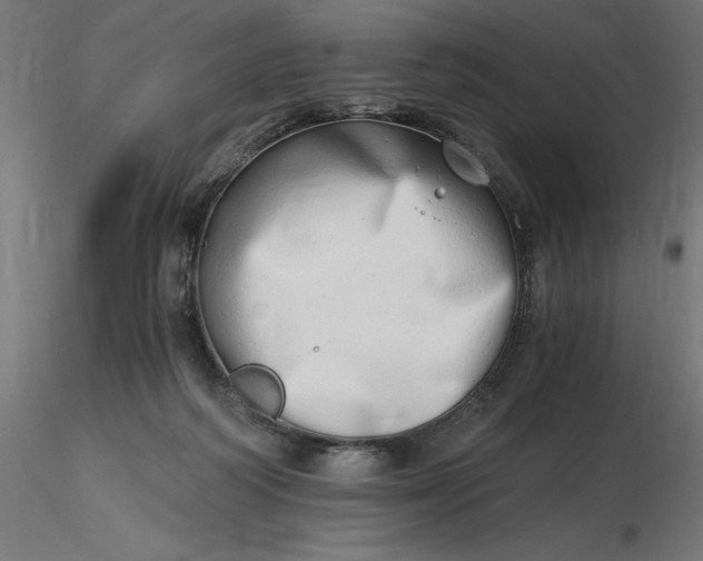 X0000116640218200912291602