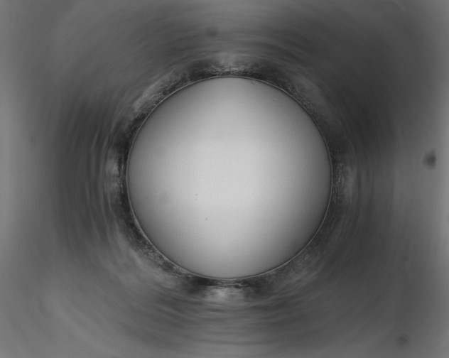 X0000116640220200912291602