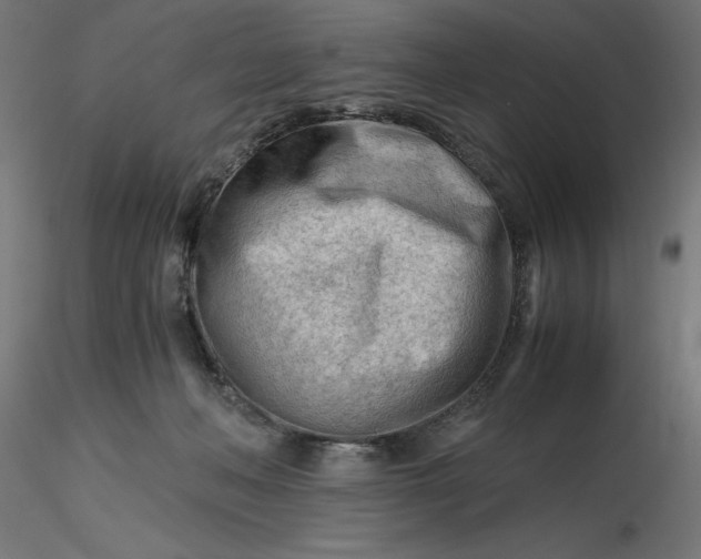 X0000116640222200912291602