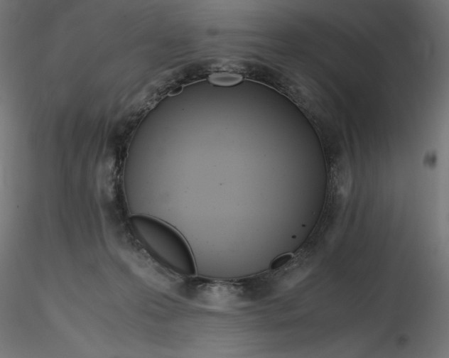 X0000116640223200912291602