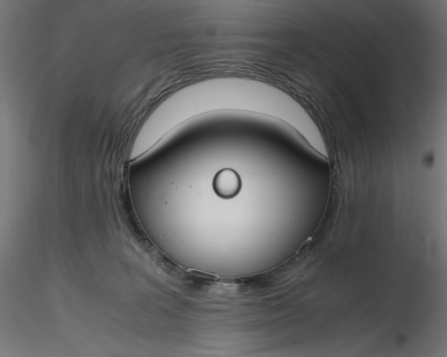 X0000116640227200912291602