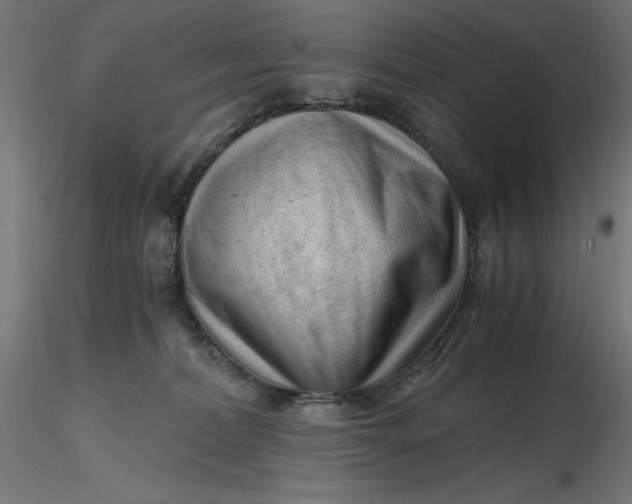 X0000116640228200912291602