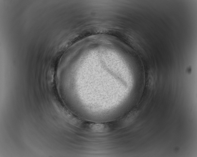 X0000116640230200912291602