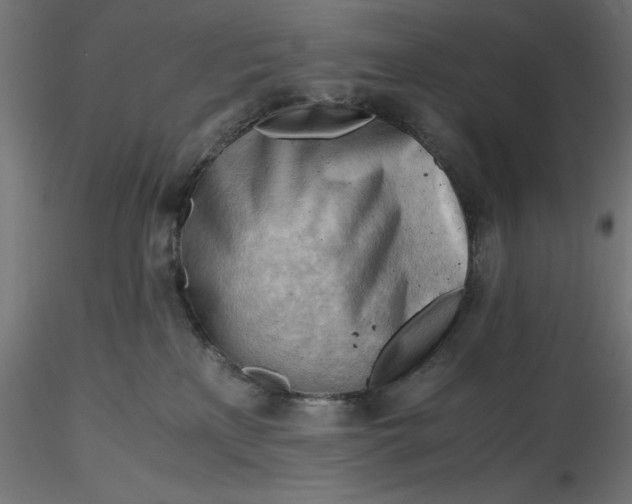 X0000116640233200912291602