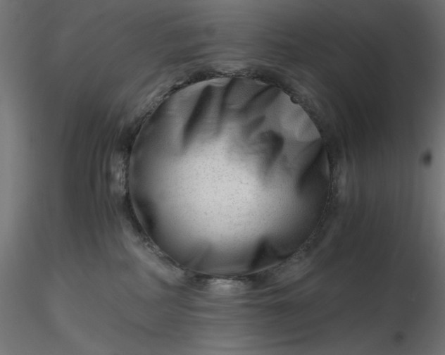 X0000116640234200912291602