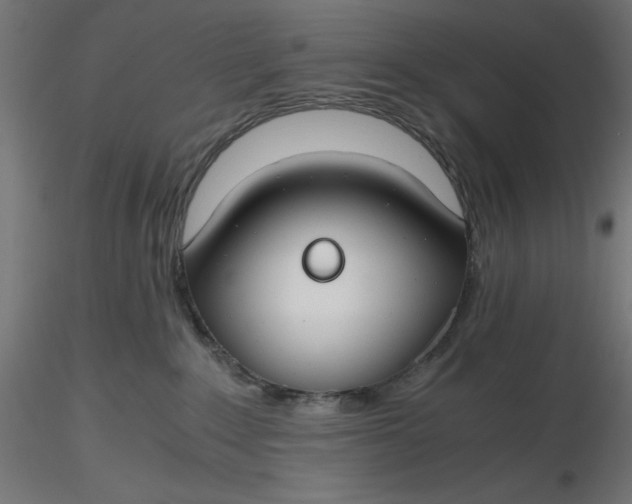 X0000116640235200912291602