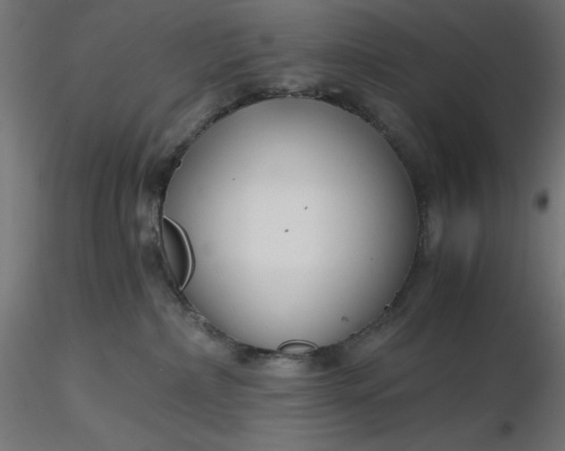 X0000116640236200912291602