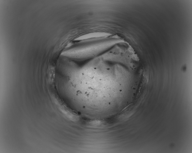 X0000116640237200912291602