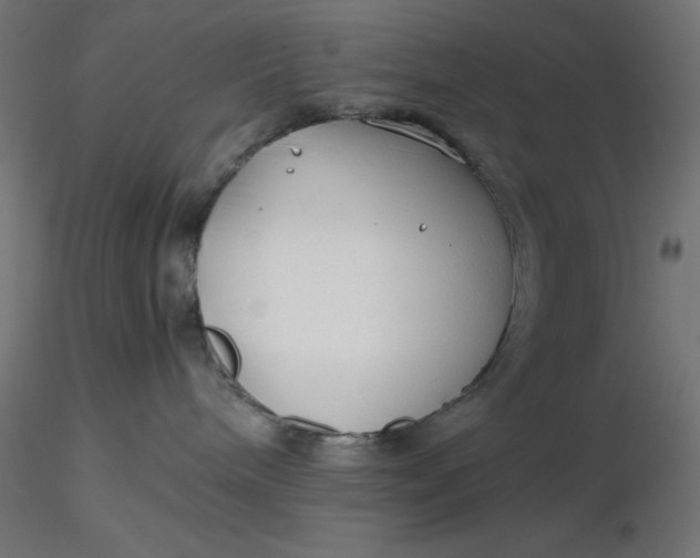 X0000116640240200912291602