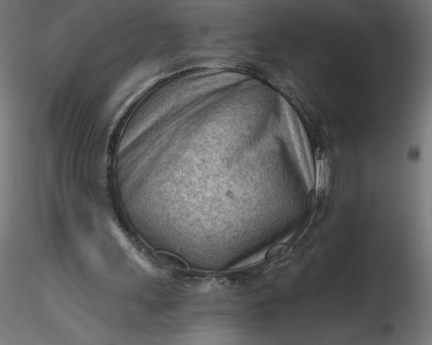 X0000116640243200912291601