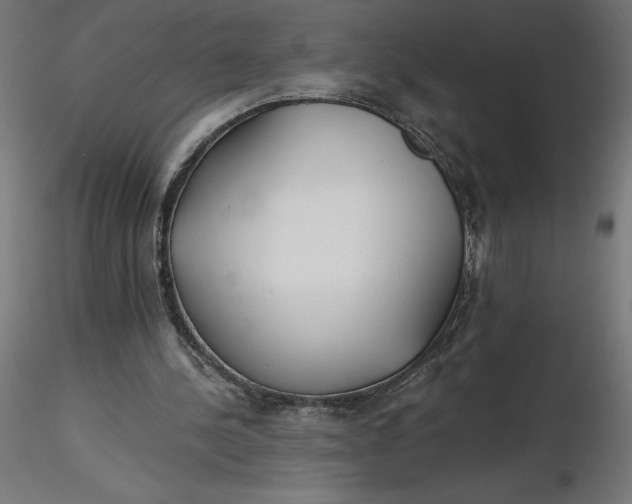 X0000116640244200912291601