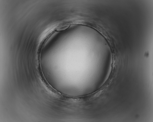 X0000116640245200912291601