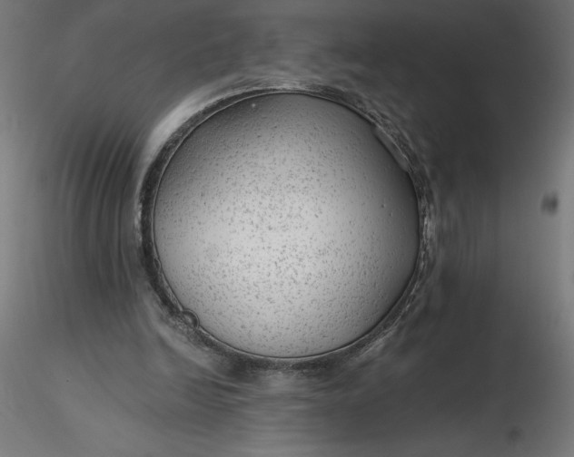 X0000116640246200912291601